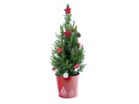 Díszített cukorsüvegfenyő vörös cinkcserépben átmérő kb. 19 cm Picea glauca