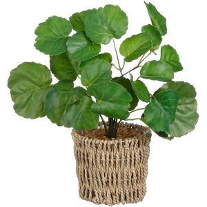 Ficus műnövény kosárban, zöld levelekkel. Dekoratív szobanövény.