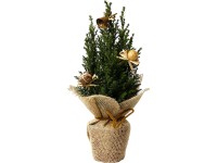 Háromféle hamisciprus karácsonyi díszítéssel cserépátmérő: kb. 9 cm Chamaecypari