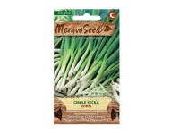 Téli hagyma Téli hagyma