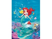 Komar fotótapéta Ariel Singing 184 cm x 254 cm FSC Komar fotótapéta Ariel Singing 184 cm x 254 cm FSC