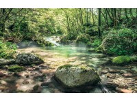 Komar vlies fotótapéta Tranquil Pool 400 cm x 250 cm