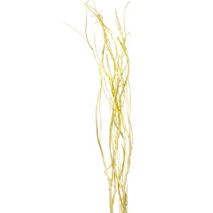 Pasztell sárga fűzfaágak csokra (kb. 120 cm) szárazvirágkötészethez és dekorációhoz.