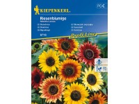 Kiepenkerl Napraforgó (Helianthus annuus) Riesenblumige Kiepenkerl Napraforgó (Helianthus annuus) Riesenblumige