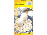 Fehérhéjú dughagyma 20 dkg