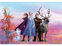 Komar fotótapéta Frozen Iconic 368 cm x 254 cm Komar fotótapéta Frozen Iconic 368 cm x 254 cm