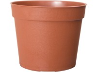 Ebertsankey hajtatócserép átmérője 6,5 cm terrakotta