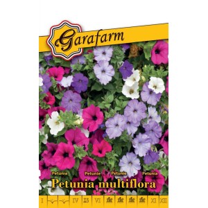 Petunia Multiflora vetőmag csomag színes virágokkal.