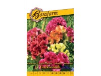 Kakastaréj taréjos vetőmag