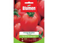 BLUMEN Classic vetőmag Borghese fejedelem paradicsom