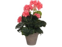 Mica Decorations lazacszínű gólyaorr magasság 34 cm átmérő 20 cm Stan cserépben