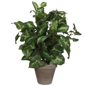 Zöld Mica Decorations Syngonium műnövény cserépben, 35 cm magas.