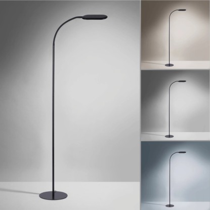 Fekete LED állólámpa Kelly, 175 cm magas, érintődimmerrel és állítható fényszínnel.