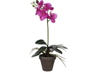 Mica Decorations lepkeorchidea művirág cserépben 13 cm átmérő x 48 cm lila