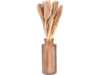 Lux Desert Flower szárított virág vázában 30 cm világosbarna