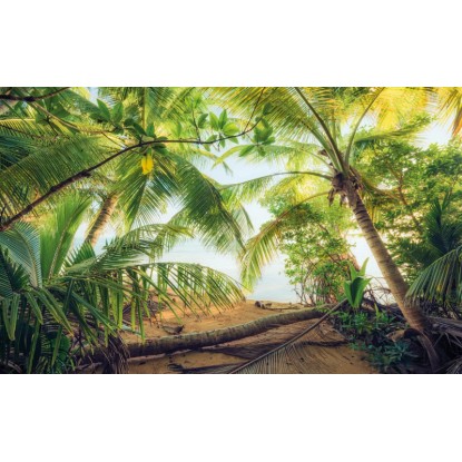 Vlies fotótapéta Piratenversteck 450 cm x 280 cm