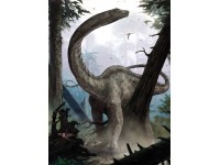 Komar vlies fotótapéta Rebbachisaurus 184 cm x 248 cm Komar vlies fotótapéta Rebbachisaurus 184 cm x 248 cm