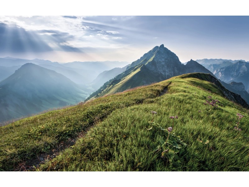 Komar Vliesbehang Digitale print vlies - Summery Spot - Afmeting 400 x