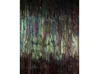 Komar vlies tapéta Dark Wings 200 cm x 250 cm
