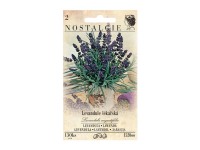 Orvosi levendula Orvosi levendula