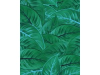 Komar nemszőtt fotótapéta Jungle Leaves 200 cm x 250 cm Komar nemszőtt fotótapéta Jungle Leaves 200 cm x 250 cm
