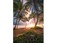Vlies fotótapéta Vertical Paradise 200 cm x 280 cm