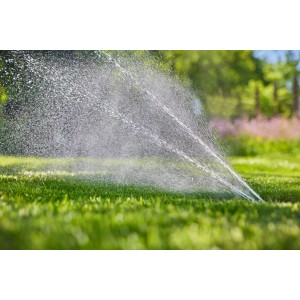 Gardena AquaPrecise csővezetékes öntözőrendszer működés közben: Gyep öntözése finom permettel.