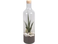 Green Bottle üvegpalack kaktusz mixszel cserépátmérő: kb. 15 cm