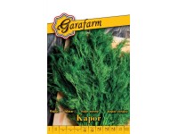 Prémium vetőmag kapor Prémium vetőmag kapor