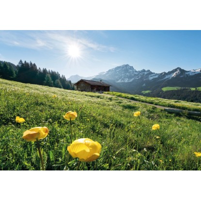 Vlies fotótapéta Alpenglück 400 cm x 280 cm