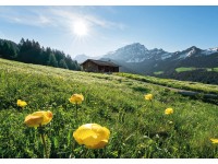 Vlies fotótapéta Alpenglück 400 cm x 280 cm Vlies fotótapéta Alpenglück 400 cm x 280 cm