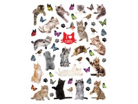 Öntapadós matrica cicák 15 cm x 20 cm