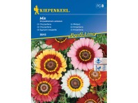 Kiepenkerl Vetőmagok Krizantém magkeverék