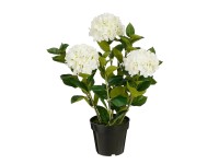 Mica művirág hortenzia cserépben 65 cm átmérő 40 cm fehér Mica művirág hortenzia cserépben 65 cm átmérő 40 cm fehér
