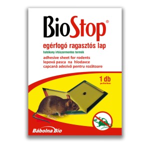 BioStop ragasztós egércsapda, nem mérgező, egérrel a csapdán.