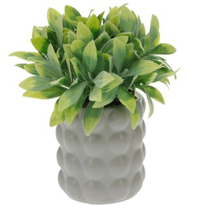 Műnövény szürke dolomit kerámia cserépben (buborék formájú), kb. 18 cm magas.