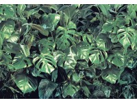 Komar fotótapéta Verdure 368 cm x 254 cm