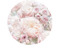Komar nemszőtt fotótapéta Dot Pink and Cream Roses öntapadó átmérő 125 cm