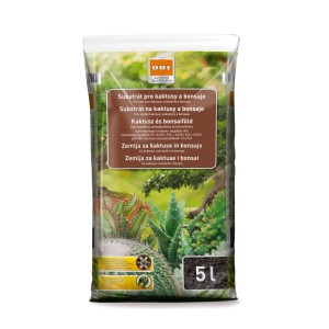 OBI kaktusz- és bonsai föld, 5 l-es zsák. Speciális föld kaktuszok, pozsgások és bonsaiok számára.