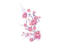 Falimatrica virágzás 32 cm x 70 cm