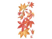 Crearreda öntapadó Virginia Creeper dekoráció Crearreda öntapadó Virginia Creeper dekoráció