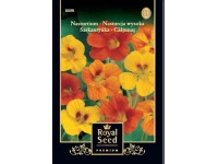 Sarkantyúka magas  royal 1