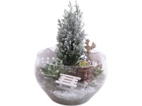 Téli növénykompozíció üvegcserépben cserép átmérője kb. 25 cm Téli növénykompozíció üvegcserépben cserép átmérője kb. 25 cm