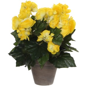 Sárga mű begónia terrakotta cserépben, 30 cm magas, 25 cm átmérőjű.