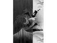 Komar vlies fotótapéta Yin Yang 200 cm x 280 cm Komar vlies fotótapéta Yin Yang 200 cm x 280 cm