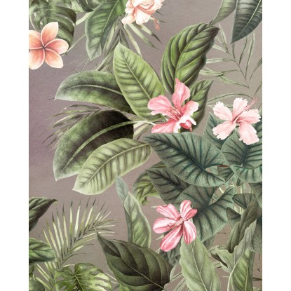 Komar Large Bloomed fátyoltapéta 200 cm x 250 cm