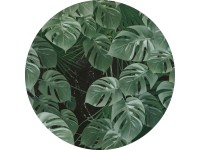 Komar vlies fotótapéta Novel Monstera öntapadós 125 cm