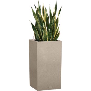 Lechuza Canto Stone magas virágtartó, 40 cm, homokbézs, zöld növénnyel. Ideális beltéri és kültéri használatra.