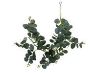 Boltze Eukalyptus növénygirland