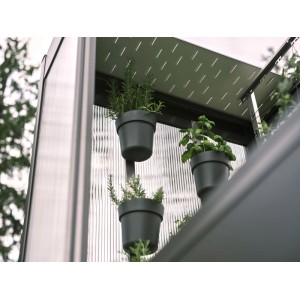 Biohort virágcserép szett Florentina üvegházhoz, 3 szürke cserép fűszernövényekkel.